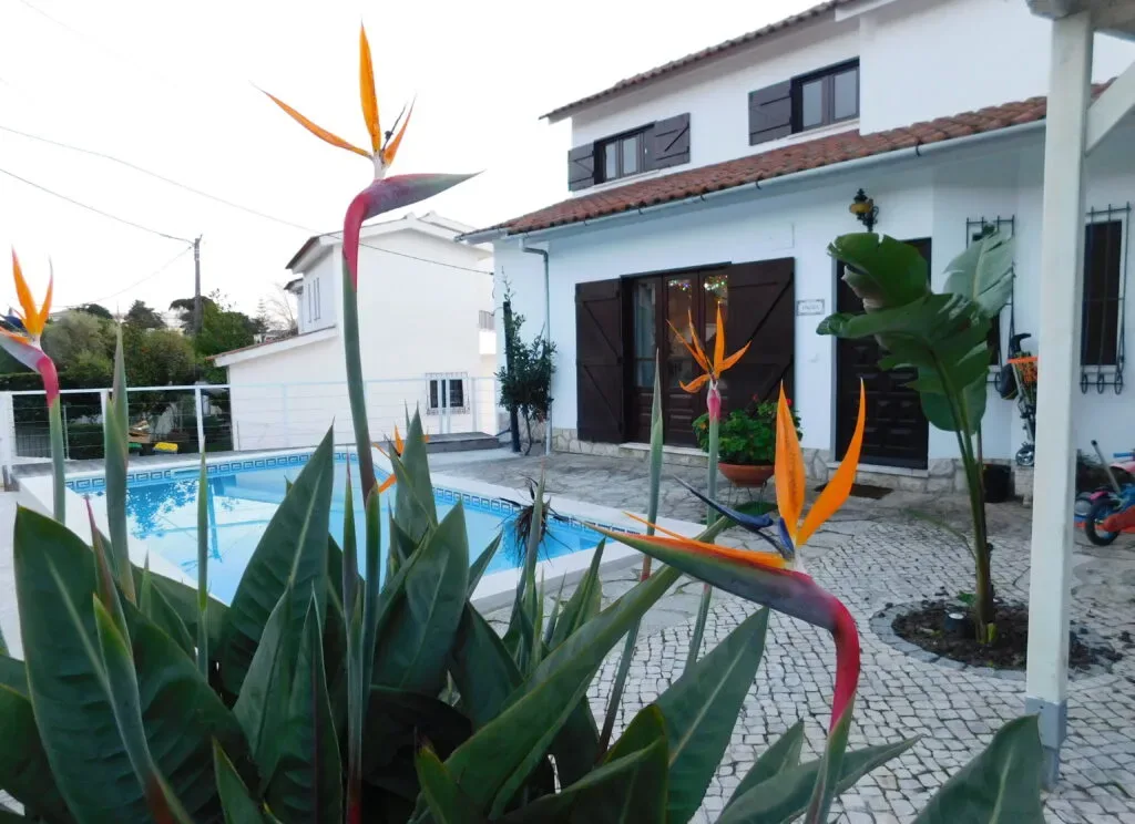 Casa Pausa garden
